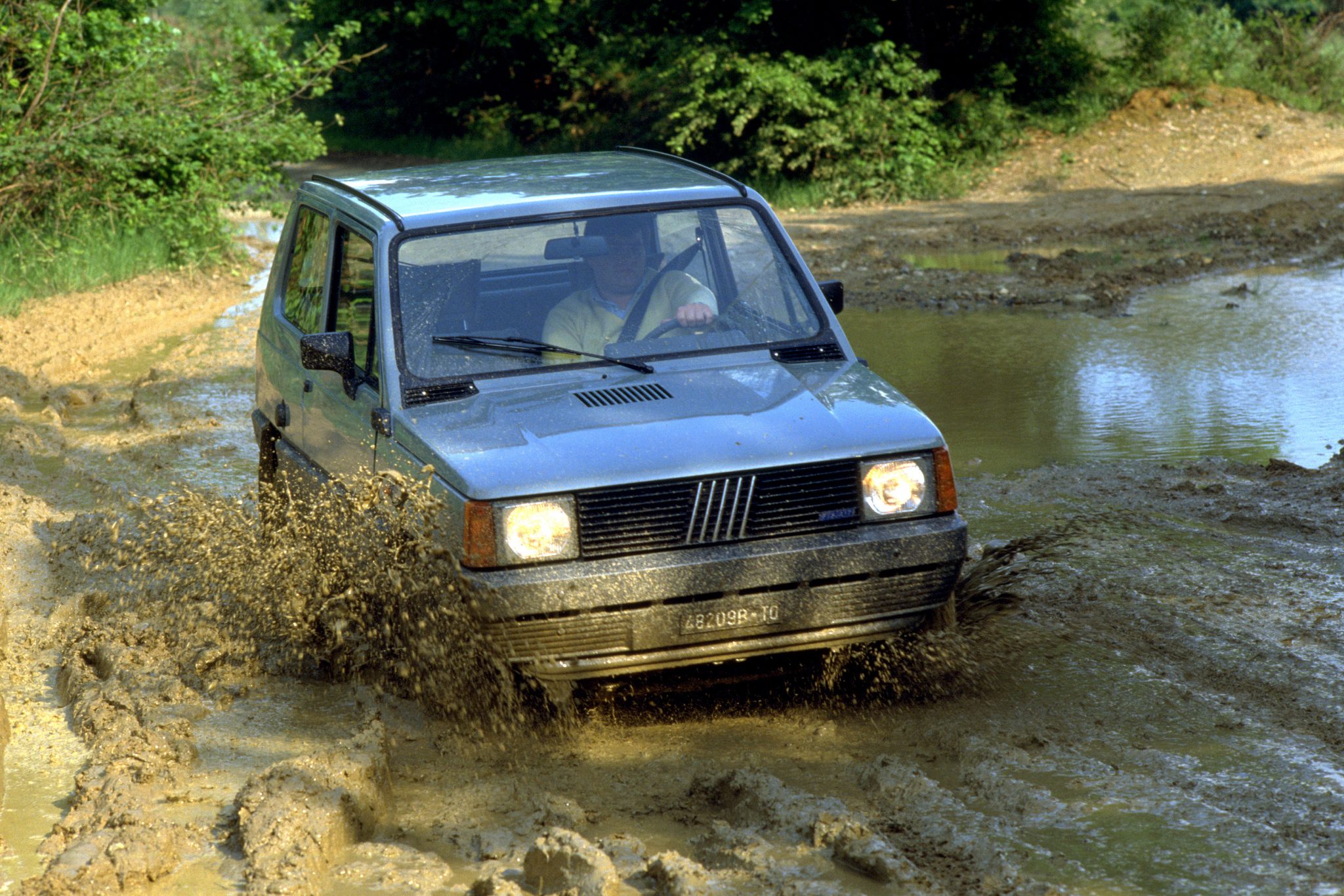 Fiat Panda, 2024, nieuwe, cultheld